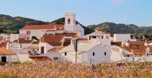 Comida y vino en Es Mercadal - Menorca
