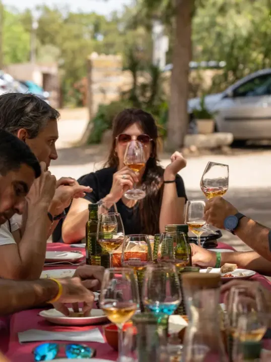 Productores gastronómicos baleares con queso artesanal, pan y vino sobre una mesa rústica en Mallorca