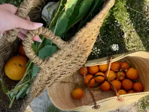 La lista definitiva de equipaje foodie para Ibiza y Mallorca - una cesta de picnic con vegetales frescos