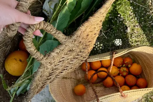 La lista definitiva de equipaje foodie para Ibiza y Mallorca - una cesta de picnic con vegetales frescos