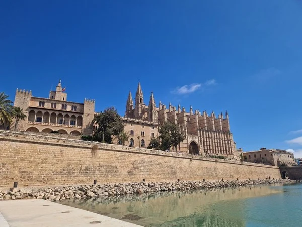 Vermut local y tapas en la experiencia gastronómica de Santa Eularia Ibiza