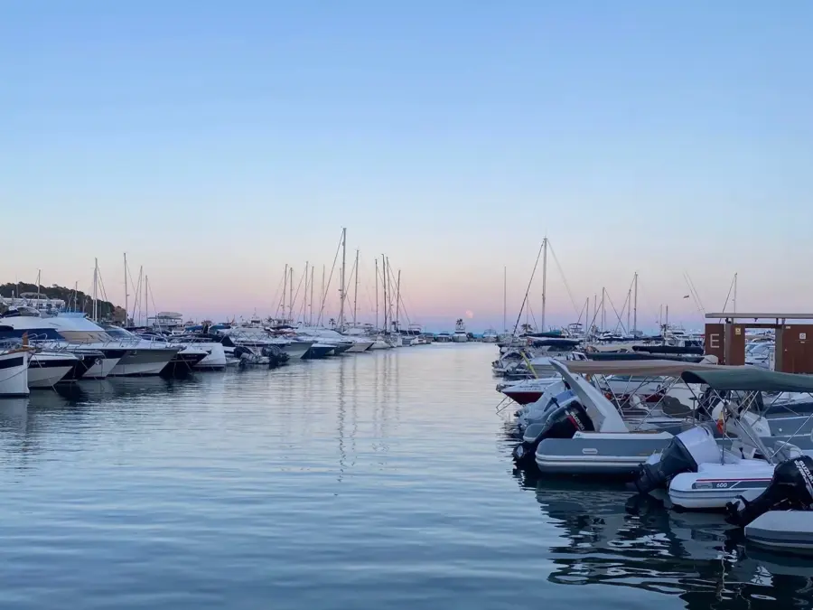 La marina de Santa Eularia - las opiniones sobre la mejor experiencia gastronómica de Ibiza