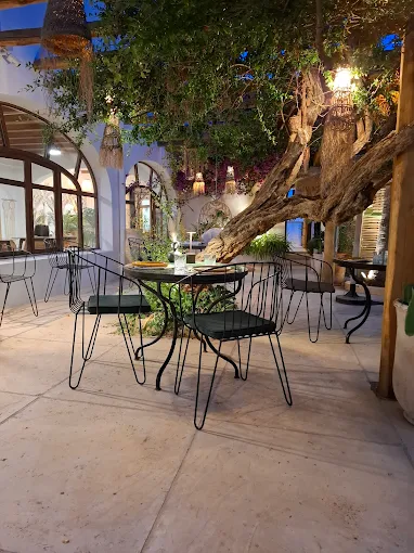 Restaurante Palm Ibiza en Santa Eularia Ibiza
