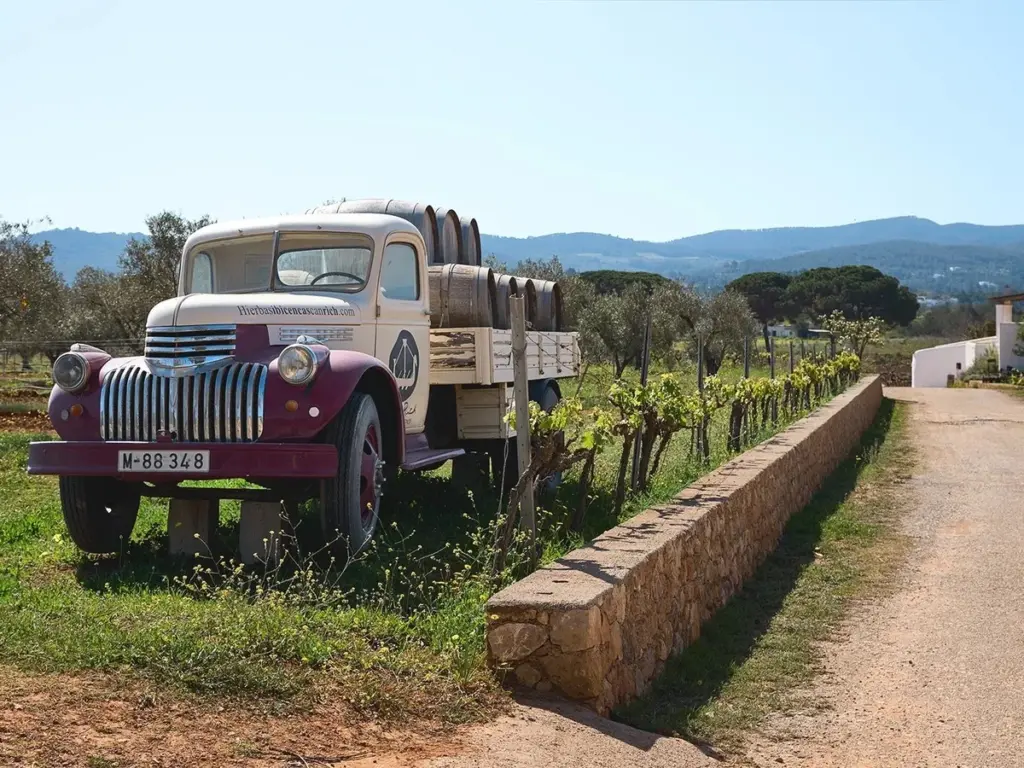 Viñedos de Bodega Can Rich